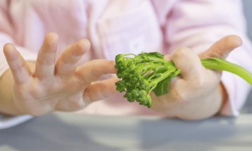 10 Great Food Ideas For When You Start Weaning finger foods